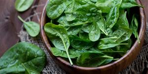  Spinach Activities and Recipes